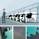 Parlour Pit Mats UK